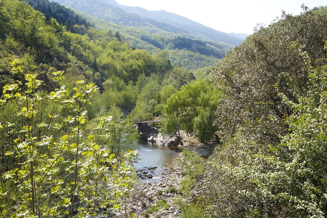 Logis Hotel-Restaurant Le Tanargue Valgorge الغرفة الصورة